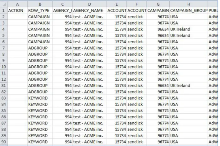 Figure 11 - The column labeled "Row_Type" helps you understand what each row represents