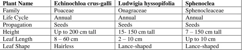 Table 1. Characteristics of Paddy Weeds 