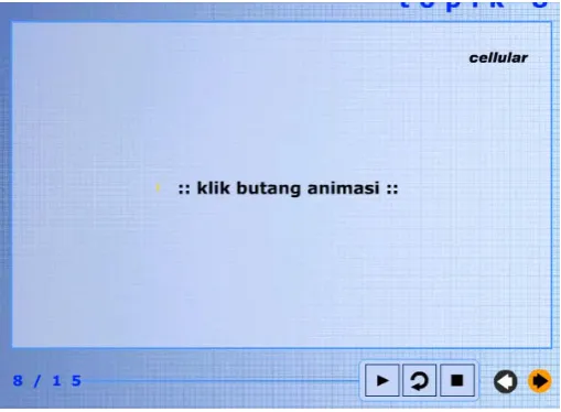 Figure 5: Play-pause-animation mode 