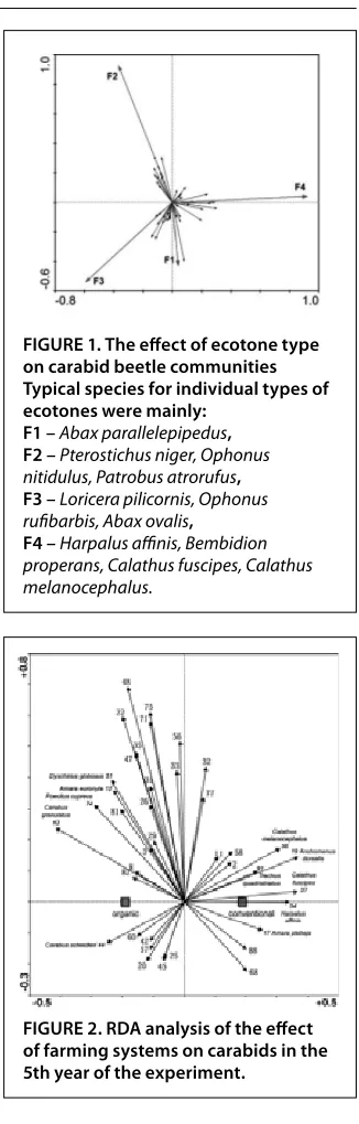 FIGURE 1. The eff ect of ecotone type on carabid beetle communities 