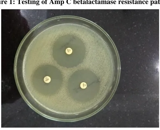 Figure 2: mCIM testing 