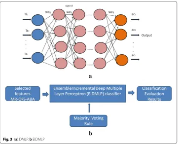 Fig. 3 (a) DMLP. b EIDMLP