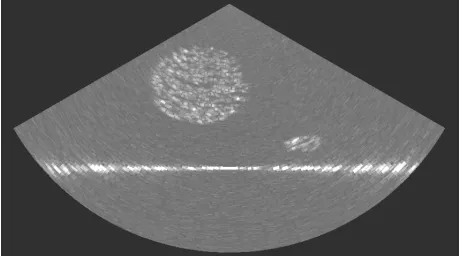 Fig. 1. One multibeam ping of synthetically generated data. 