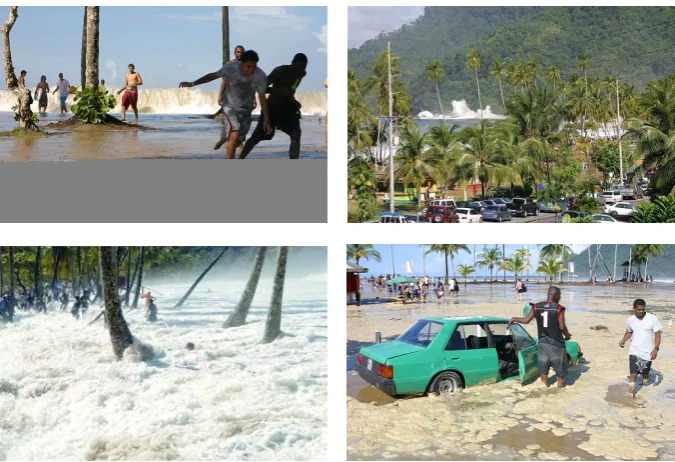 Fig. 4. The waves in Maracas Beach on 16 October (Stapleton, 2005). 