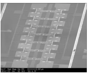 Fig. 17 SEM photo of MEMS varactor true time delay line.