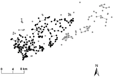 Figure 2.3 Network representation of ring-tailed lemur habitat patches in the study landscape