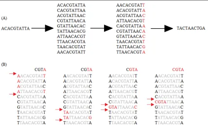 Figure 3.2 Burrows-Wheeler Transform. (A) The Burrows-Wheeler matrix and transformation of ‘ACACGTATTA’