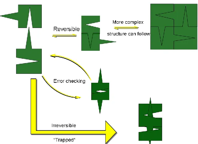 Figure 1.3 .  Comparison of reversible and irreversible steps and their effects on the supramolecular assembly