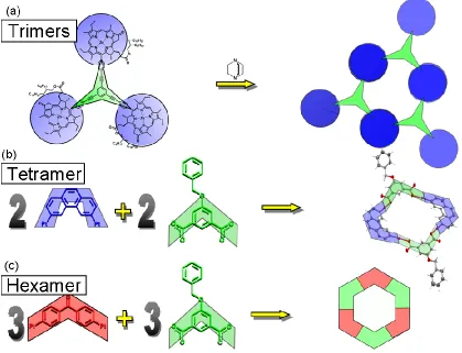 Figure 1.7. Examples of dative directed assemblies:  (a) Wasielewski porphyrin trefoil that uses diazo-bicyclic octane to form a trimer with a hexagonal center cavity;141 (b) Stang’s tetrameric structures are formed by the assembly of two bis-platinum phenanthrenes and 2 disodium carboxylates;145 (c) Three bis-platinum benzophenone units and three disodium carboxylates organize to form hexagonal structures.146    