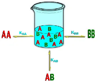 Figure 1.10. Comparison of an assembly process that could afford both heterodimers (AA and BB) and homodimers (AB)