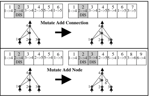 Figure 3: The two types of structural mutation in NEAT. Both types, adding a connec- connec-tion and adding a node, are illustrated with the connecconnec-tion genes of a network shown above their phenotypes