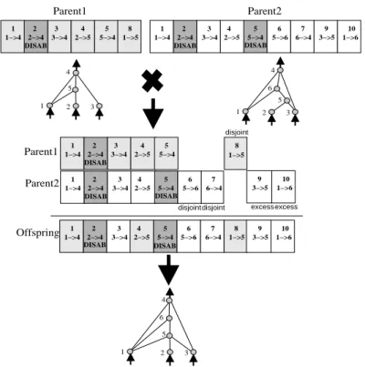 Figure 4: Matching up genomes for different network topologies using innovation numbers