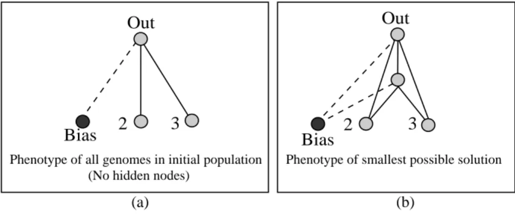 Figure 5: Initial phenotype and optimal XOR. Figure (a) shows the phenotype given to the entire initial population