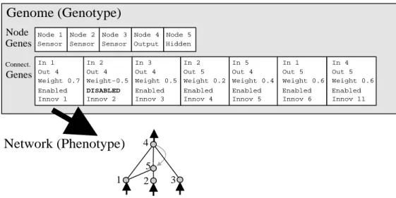 Figure 2: A genotype to phenotype mapping example. A genotype is depicted that produces the shown phenotype