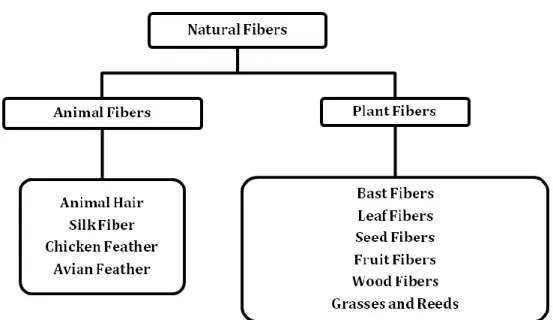 Figure 1.2. Classification of Natural Fibers [12] 