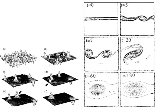 Fig. 24. Evolution of a system of vortices obtained by Matthaeus et al. (1991), showing the formation of the “:nal dipole”.