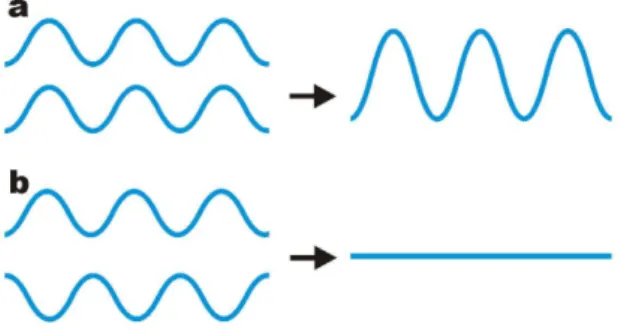 Figure 3: Interference of two waves with the same  wavelength and amplitude. (a) Constructive interference  with the waves being in phase