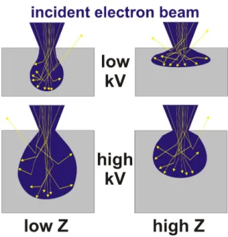 Figure 8: Interaction volumes of the incident electron  beam (blue) in compact samples (grey) depending on  electron energy and atomic number Z