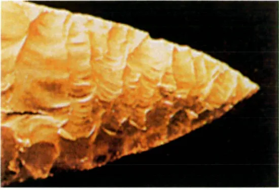 Figure 2: Concoidal surface flaking, flint hand tool, approximately 300,000 years old