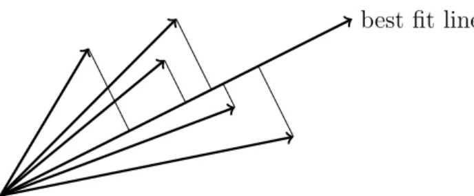 Figure 1.3: The best fit line is that line that minimizes the sum of perpendicular distances squared.