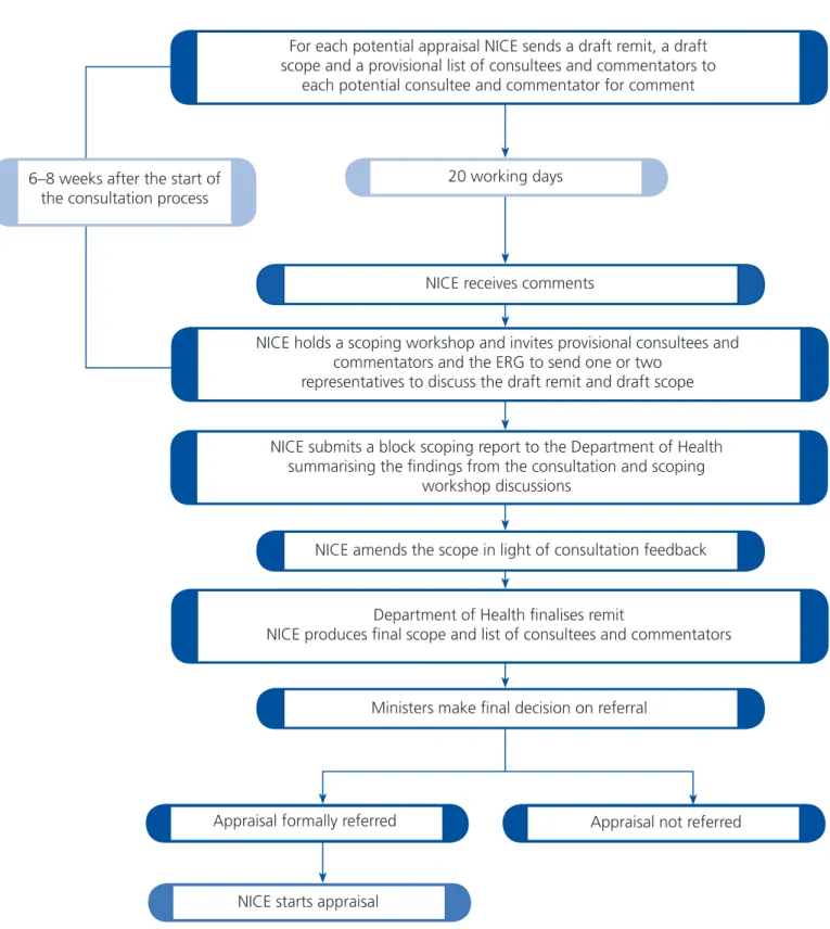 Figure 1 Steps in developing the scope