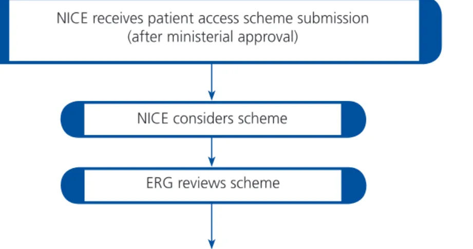 Figure 3 Process for considering a patient access scheme