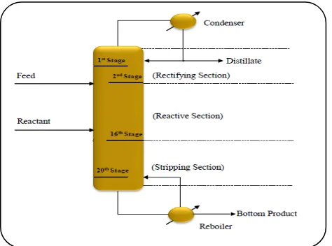 Fig. 1: Process flow diagram of Ethanol Separation from water in conventional reactive distillation  