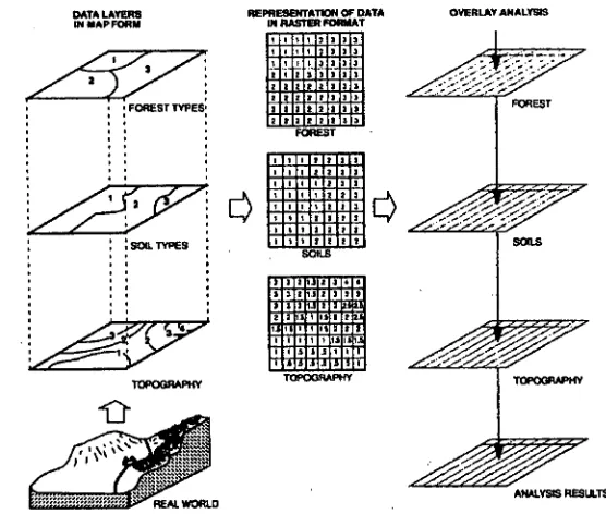 Figure 2-1: Raster and vector overlay in GIS (Aronoff 1989, p. 167) 