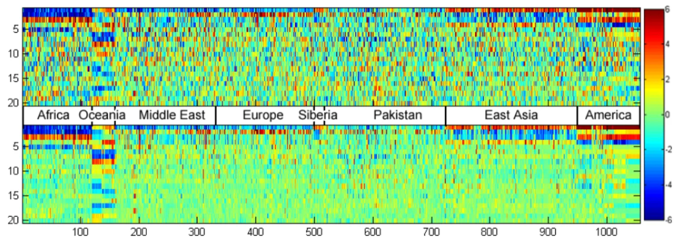 Figure 8. HGDP-CEPH features projected onto the first 20 principal components of the raw features for the (top) original and (bottom) reconstructed data