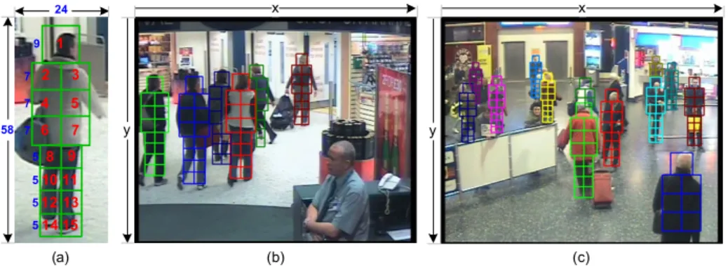 Fig. 3. Illustrations for human parts: (a) parts deﬁnition for a normalized 24×58 human detection response; 15 squares are used to build part-based appearance models, their sizes are shown in blue numbers; (b)(c) show automatic occlusion inference results 
