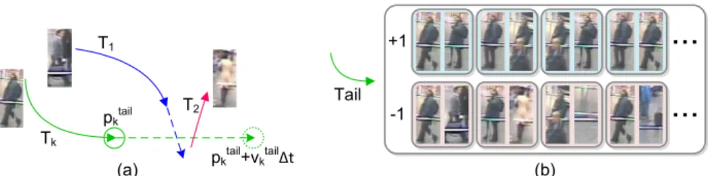 Fig. 4. Online learning of appearance models for category free tracking: (a) estimation of potential distracters for 