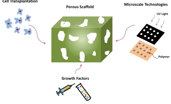Figure 1.1: Schematic drawing of growth factor delivery, cell transplantation, and microscale patterning strategies to induce tissue growth in porous biomaterials for tissue engineering applications