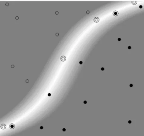 Figure 9. Degree 3 polynomial kernel. The background colour shows the shape of the decision surface.