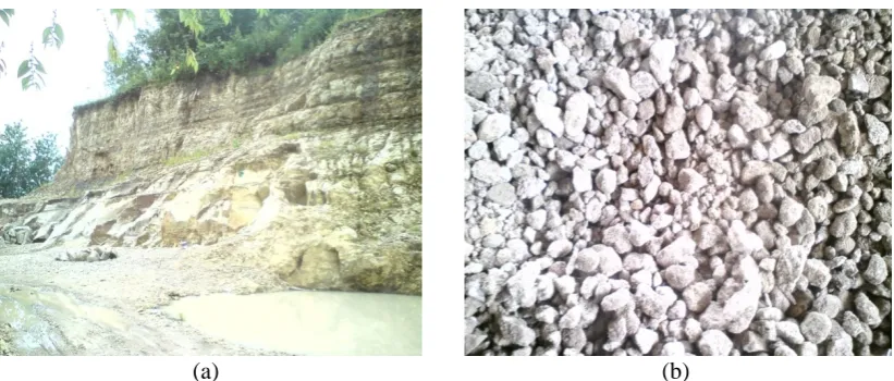 Figure 1: (a) Part of Pumice Breccia Deposit in the Semilir Formation, (b) Crushed Pumice Breccia 