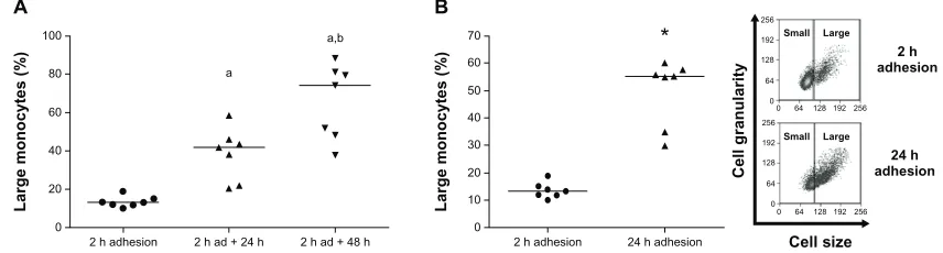 Figure 1 (A and B) Percentage of large-monocyte increases in culture. Using 2 hours’ adhesion as a parameter, gates delimiting small- and large-monocyte subpopulations were determined (B, inset), using data obtained from flow cytometric analysis of cell si