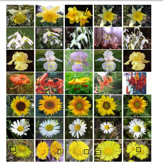 Fig. 6: Each row represents the most relevant FLH pattern for a given flower category
