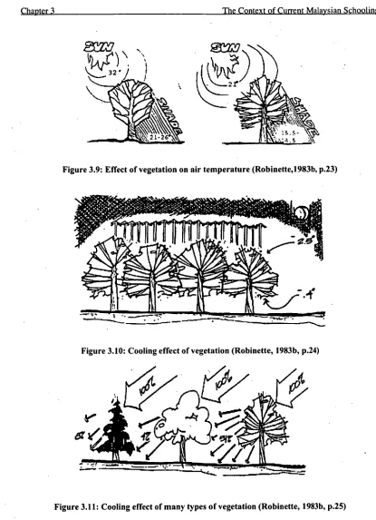 Figure 3.9: Effect of vegetation on air temperature (Robinette,1983b, p.23) 