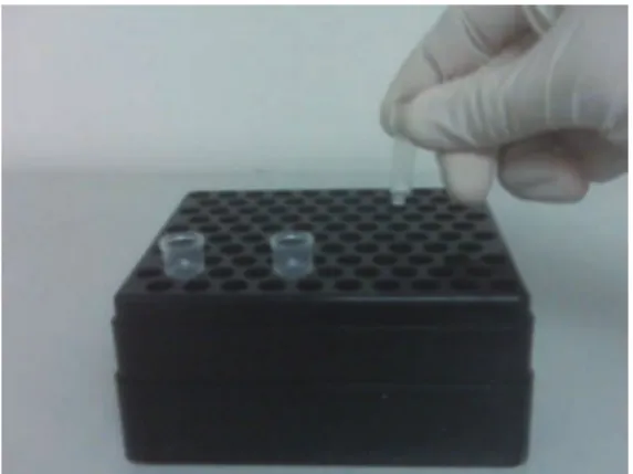 Figure 5:  Using the ChIP Filtration Columns.