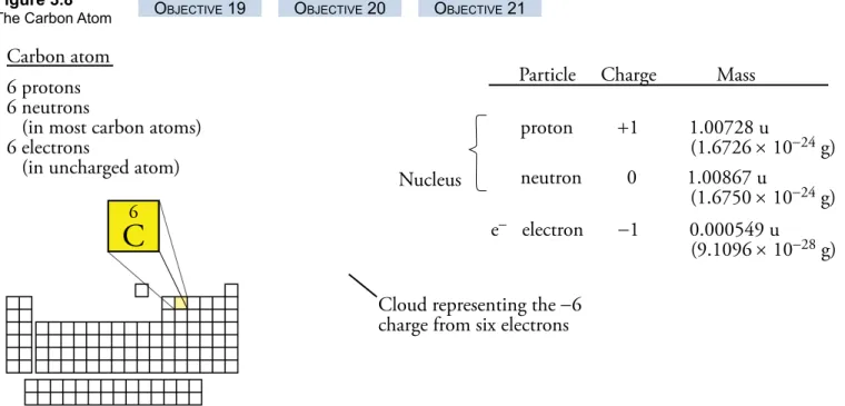 Figure 3.8 The Carbon Atom