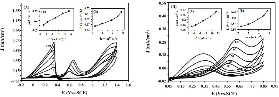 Fig. 8: (B) 0.5 M HCyclic voltammograms of Fe3O4@Pt/CCE electrocatalyst in (A) 0.5 M H2SO4 + 0.2 M formic acid and  2SO4 + 0.2 M formaldehyde at different scan rates