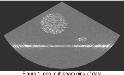 Figure 1: one multibeam ping of data 