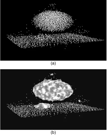 Figure 3: (a) visual representation of the spatial dimensions of the soundings in the set volumetric segmentation in clusters, effectively Ω; (b) describing fish schools