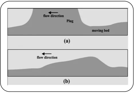Fig. 1: (a) Plug flow. (b) Dune flow.