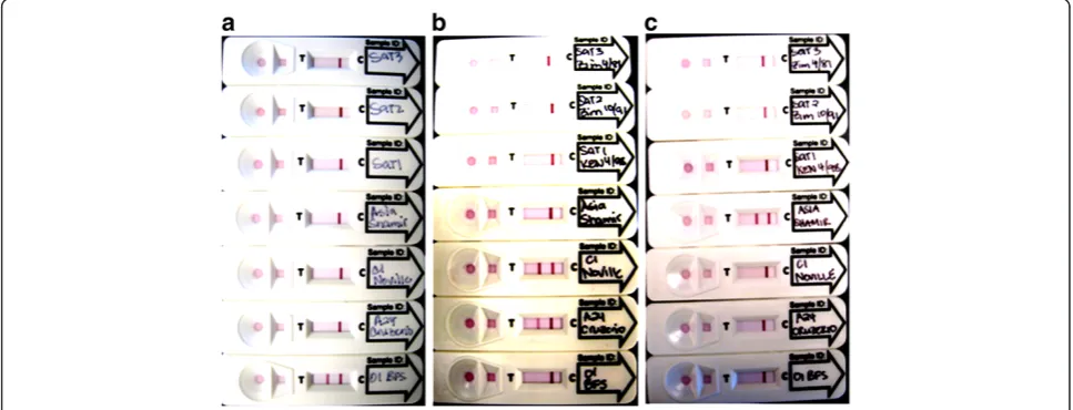Table 2 Comparison of different sizes of colloidal-gold particle conjugated detection mAb in the strip test