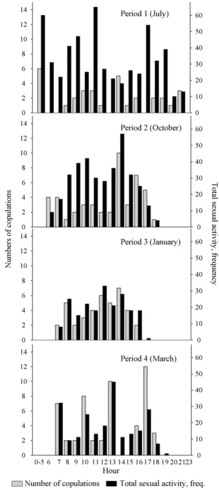 Fig. 1. The diurnal patterns of the overall sexual activity and copula-tion activity in the four observation periods (day 4 and day 5).