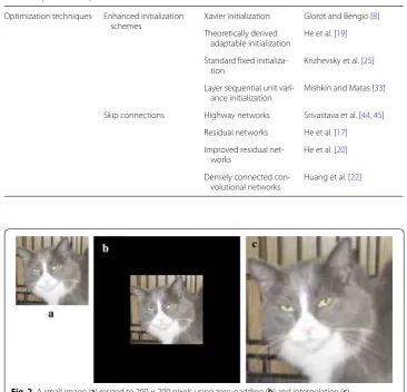Fig. 2 A small image (a) resized to 200 × 200 pixels using zero-padding (b) and interpolation (c)