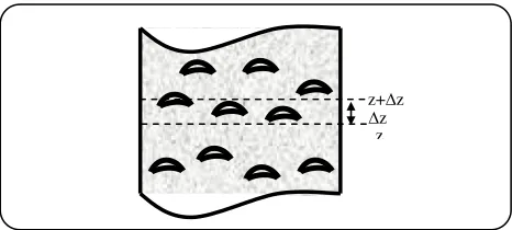 Fig. 3: Section of a bubbling fluidized bed. 