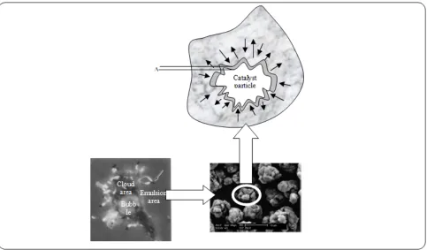 Fig. 4: Shows the mass transfer of emulsion molecules to the catalyst particles Micrography of Ziegler-Natta Catalyst  by scanning electron microscope (Wolf et al., 2005)