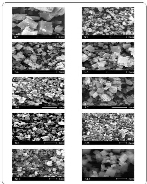 Fig. 2: SEM photographs of the samples. 