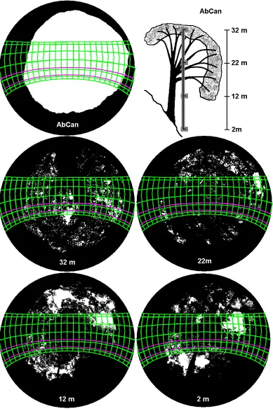 Figure 29: The vertical canopy transect map (top right) and the visible sky proportions at each site